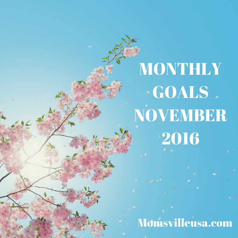 Monthly Goals – November – MomsvilleUSA