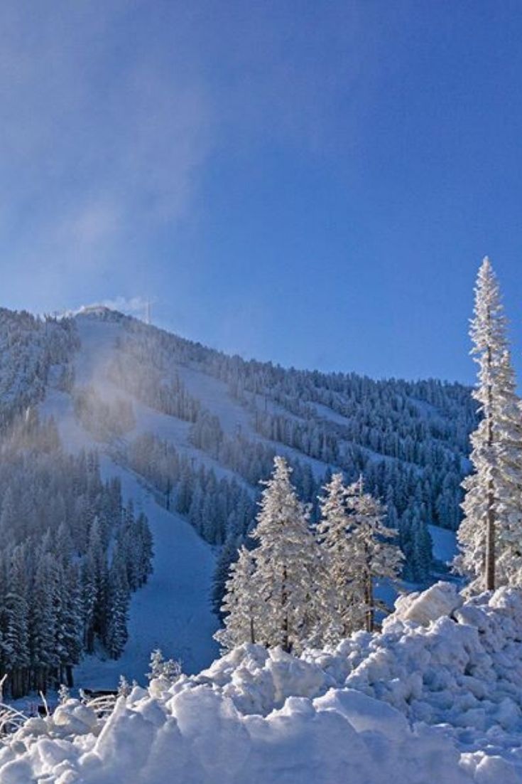 Top Family Friendly Ski Resort in Tahoe – Mt Rose